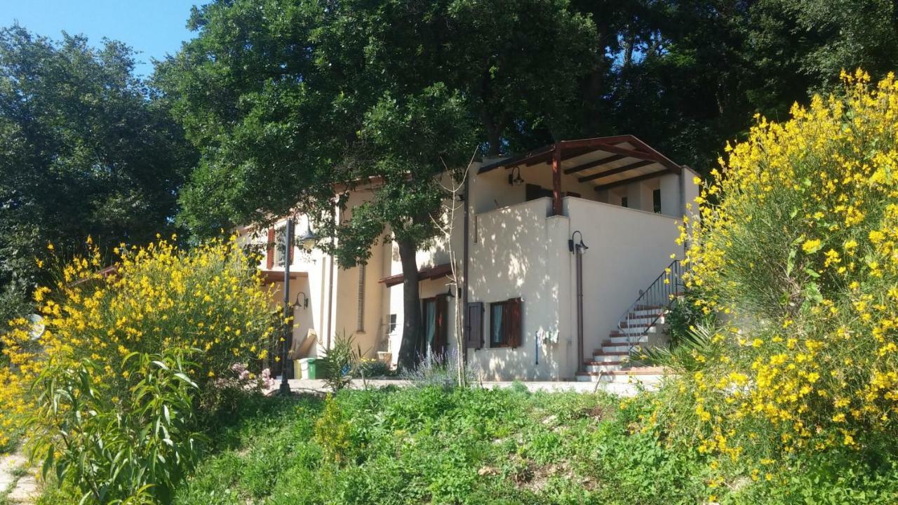Le Querce Bed & Breakfast Ancona Ngoại thất bức ảnh